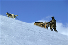 狩人と犬、最後の旅　場面写真